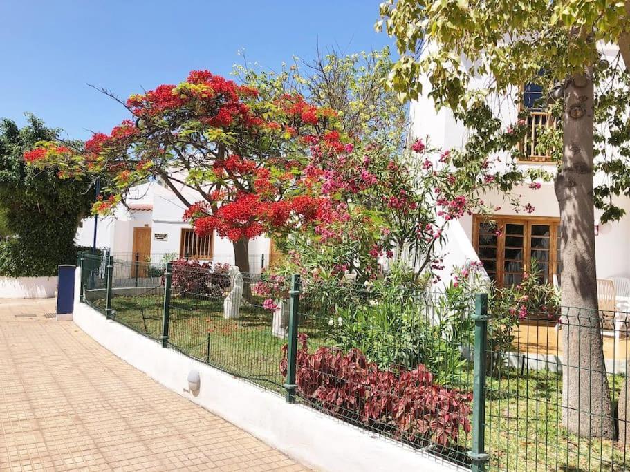 Apartamento Lucia Garden City Con Piscina Climatizada Playa Feñabe Екстериор снимка