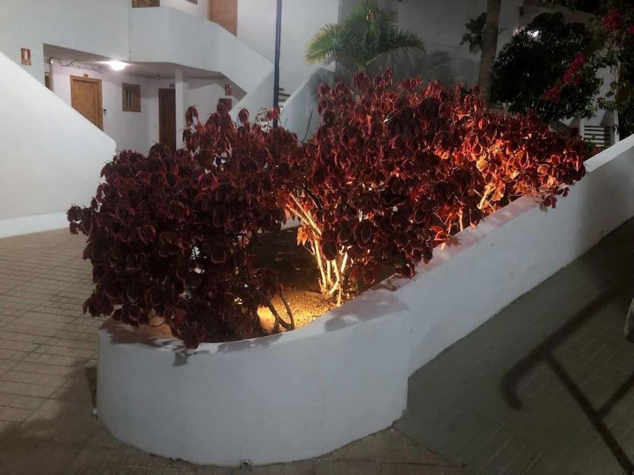 Apartamento Lucia Garden City Con Piscina Climatizada Playa Feñabe Екстериор снимка