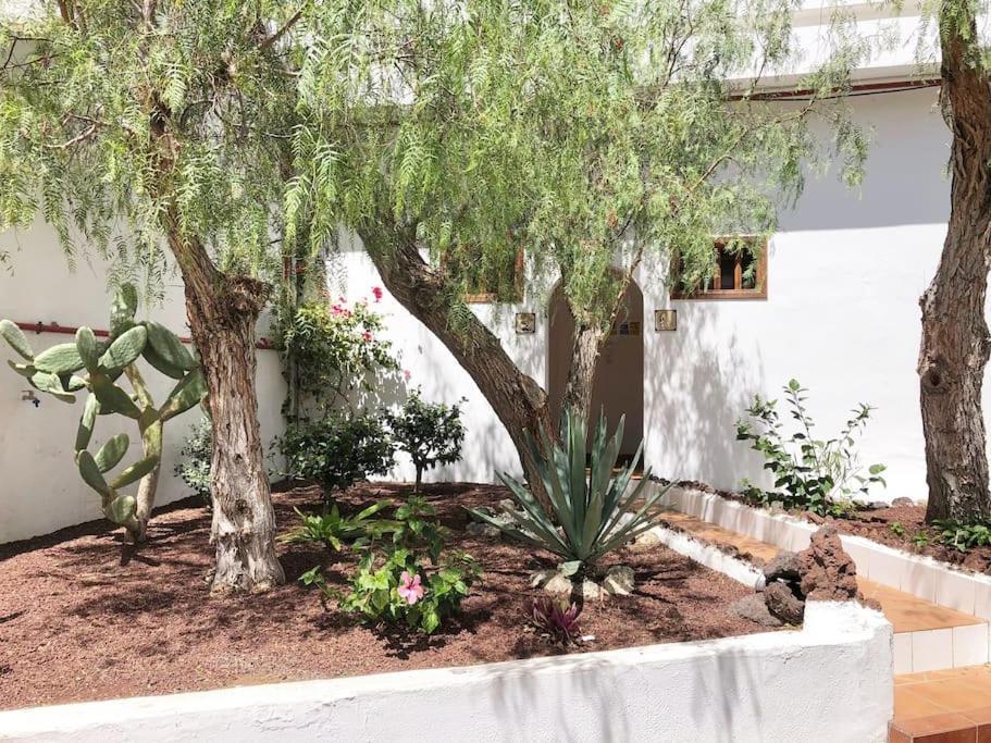 Apartamento Lucia Garden City Con Piscina Climatizada Playa Feñabe Екстериор снимка