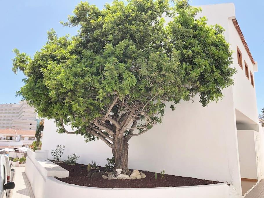 Apartamento Lucia Garden City Con Piscina Climatizada Playa Feñabe Екстериор снимка